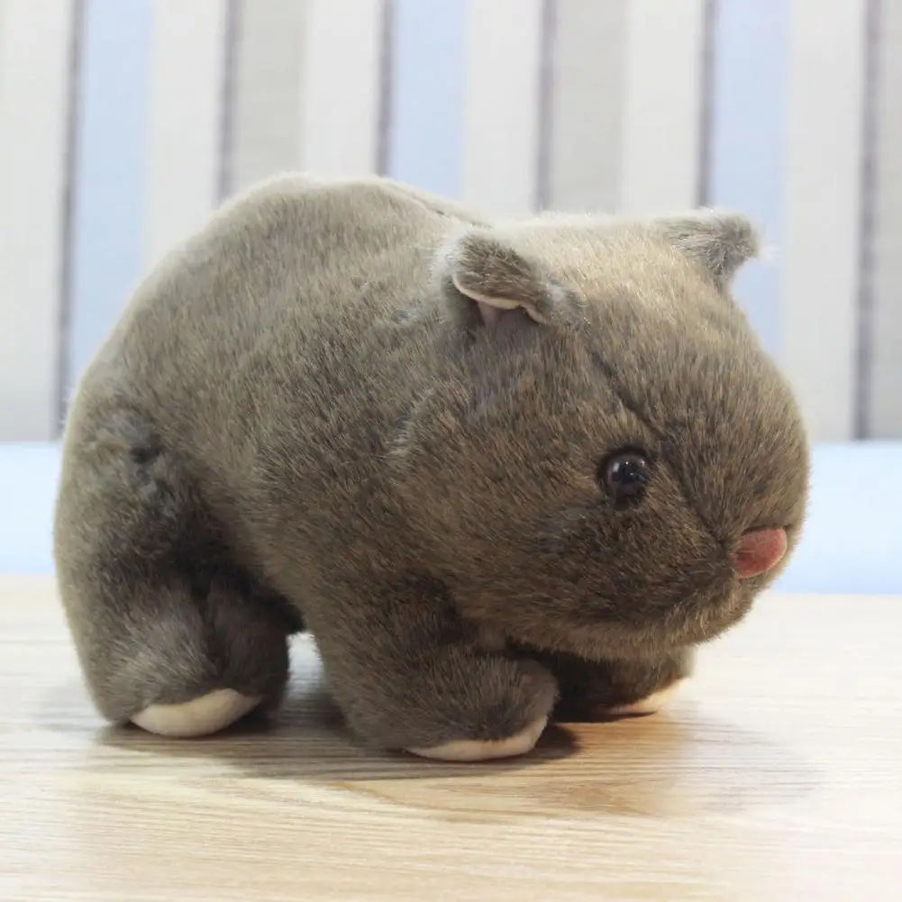 Simülasyon Wombat Oyuncak Güzel Görünüm Pratik kokusuz Doldurulmuş Kobay Hayvan Oyuncaklar Fare Bebek Bebek Çocuklar için Hediyeler